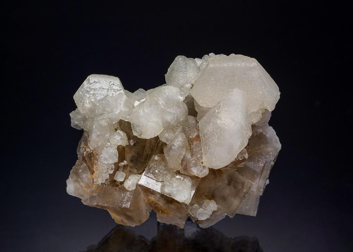 CC13552 specimen image