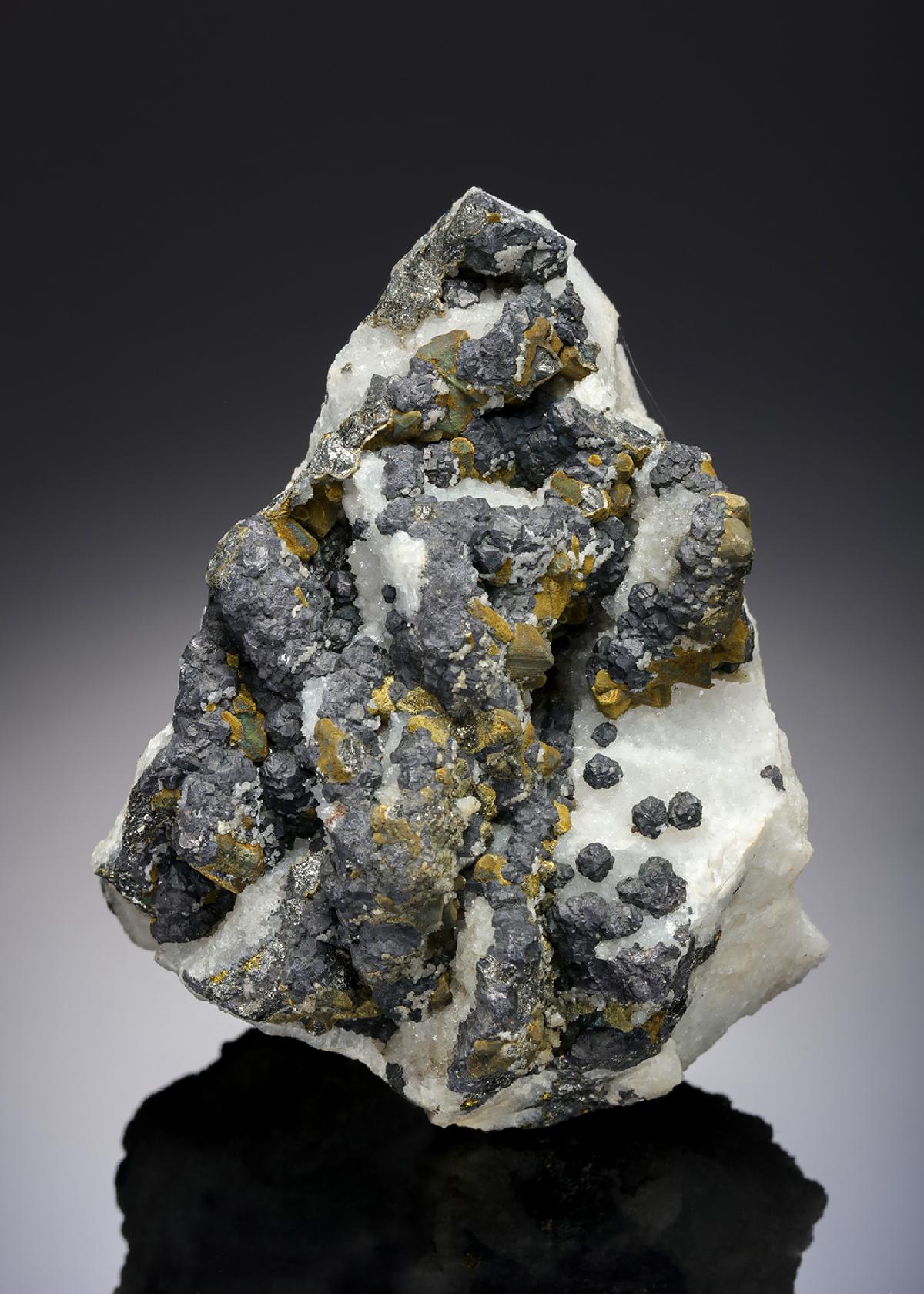 CC13554 specimen image