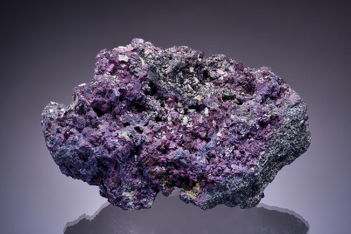 CC13555 specimen image