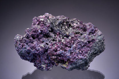 CC13555 specimen image