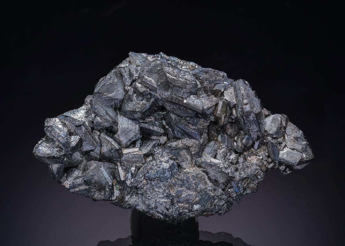 CC13568 specimen image