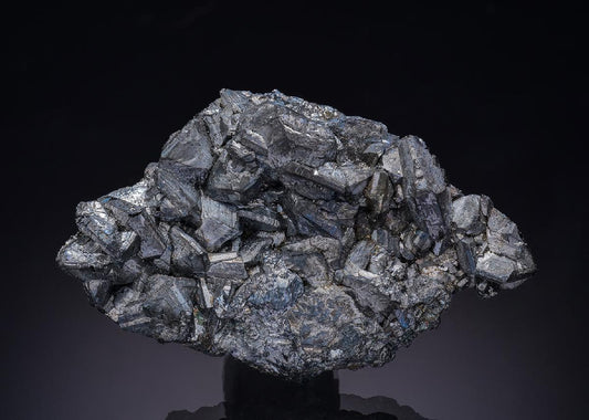 CC13568 specimen image