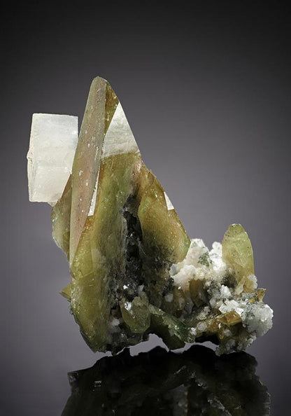 CC13583 specimen image