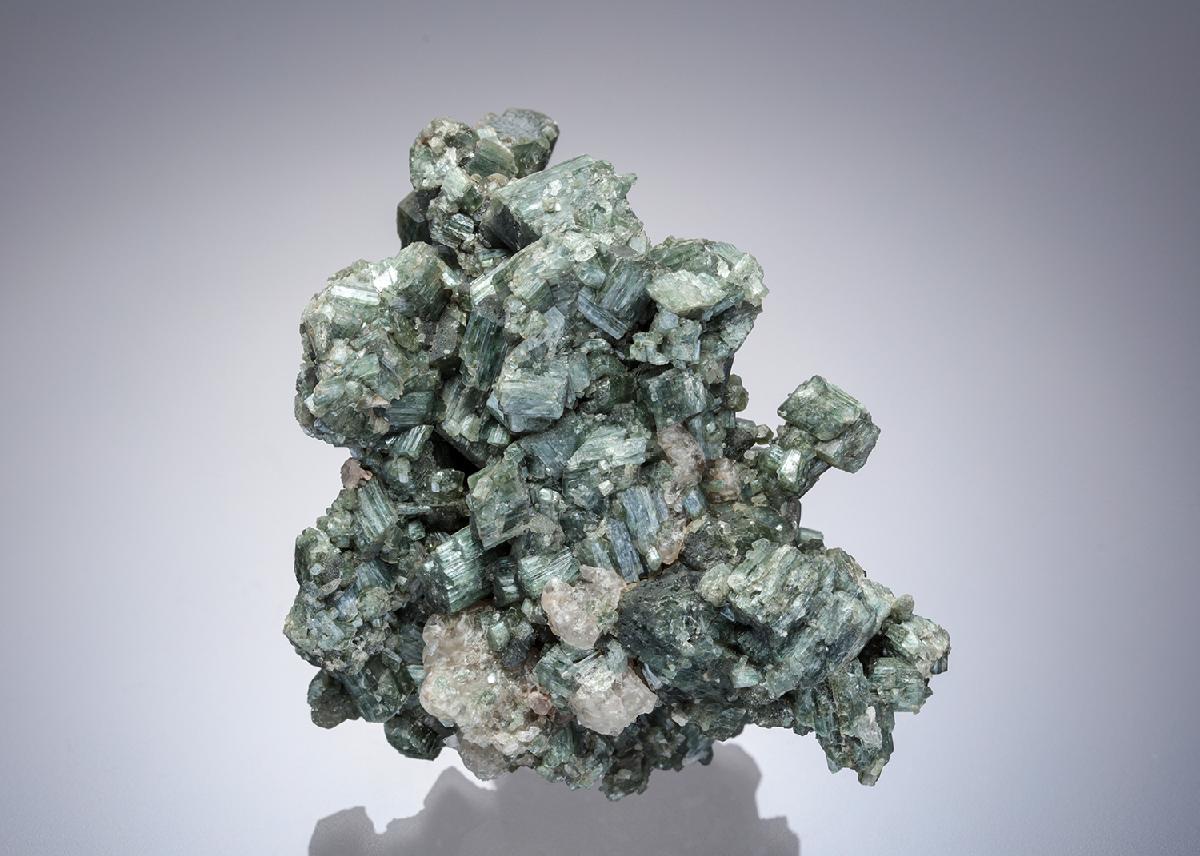 CC13588 specimen image