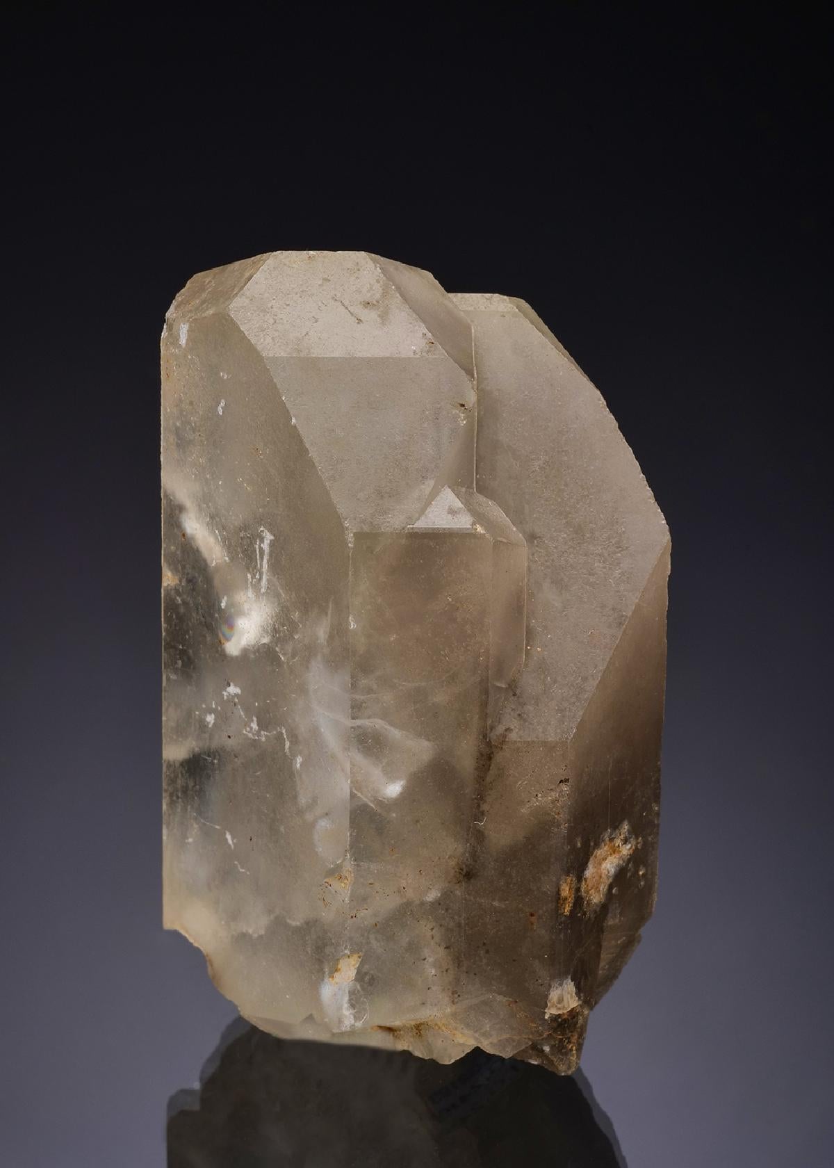 CC13596 specimen image