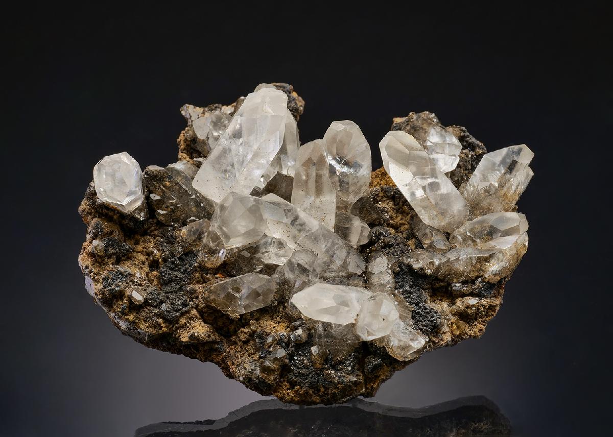 CC13601 specimen image