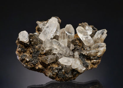 CC13601 specimen image