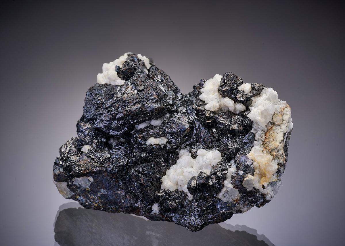 CC13604 specimen image
