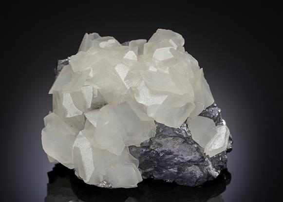 CC13627 specimen image