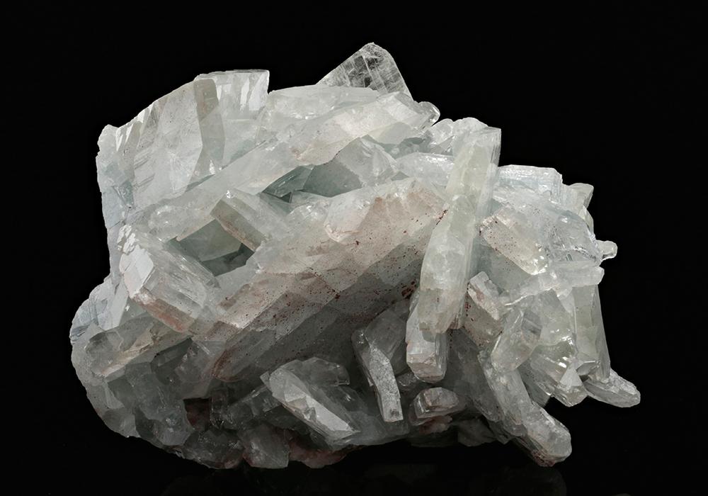 CC13636 specimen image