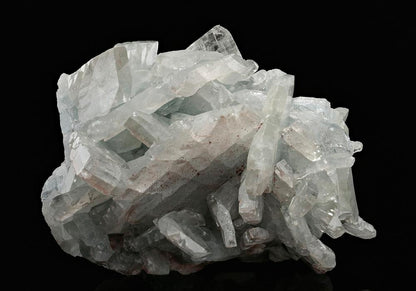 CC13636 specimen image