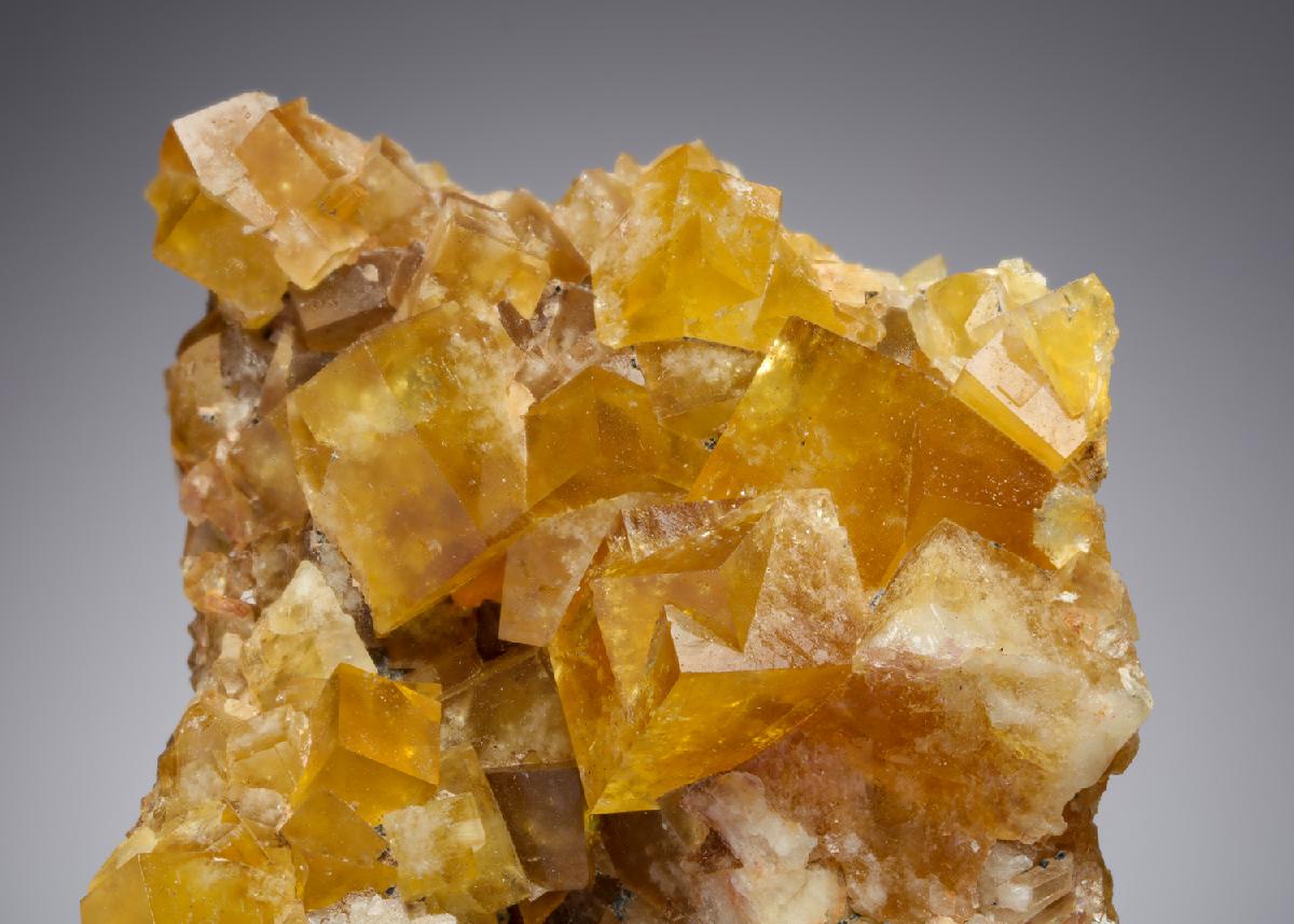 CC13641 specimen image