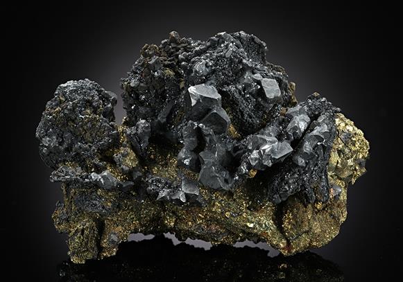 CC13643 specimen image