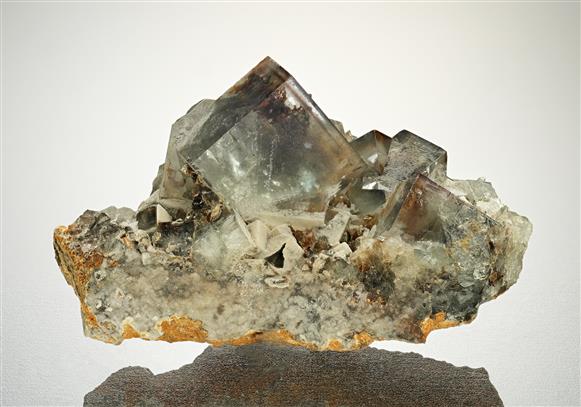CC13650 specimen image