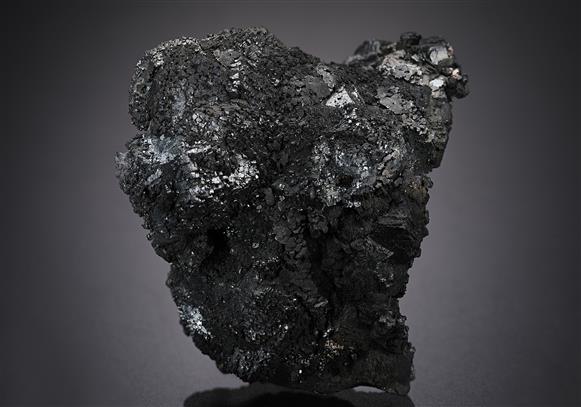 CC13655 specimen image