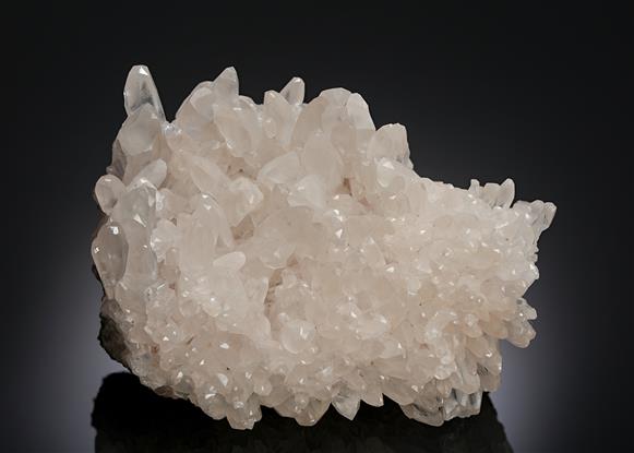 CC13671 specimen image
