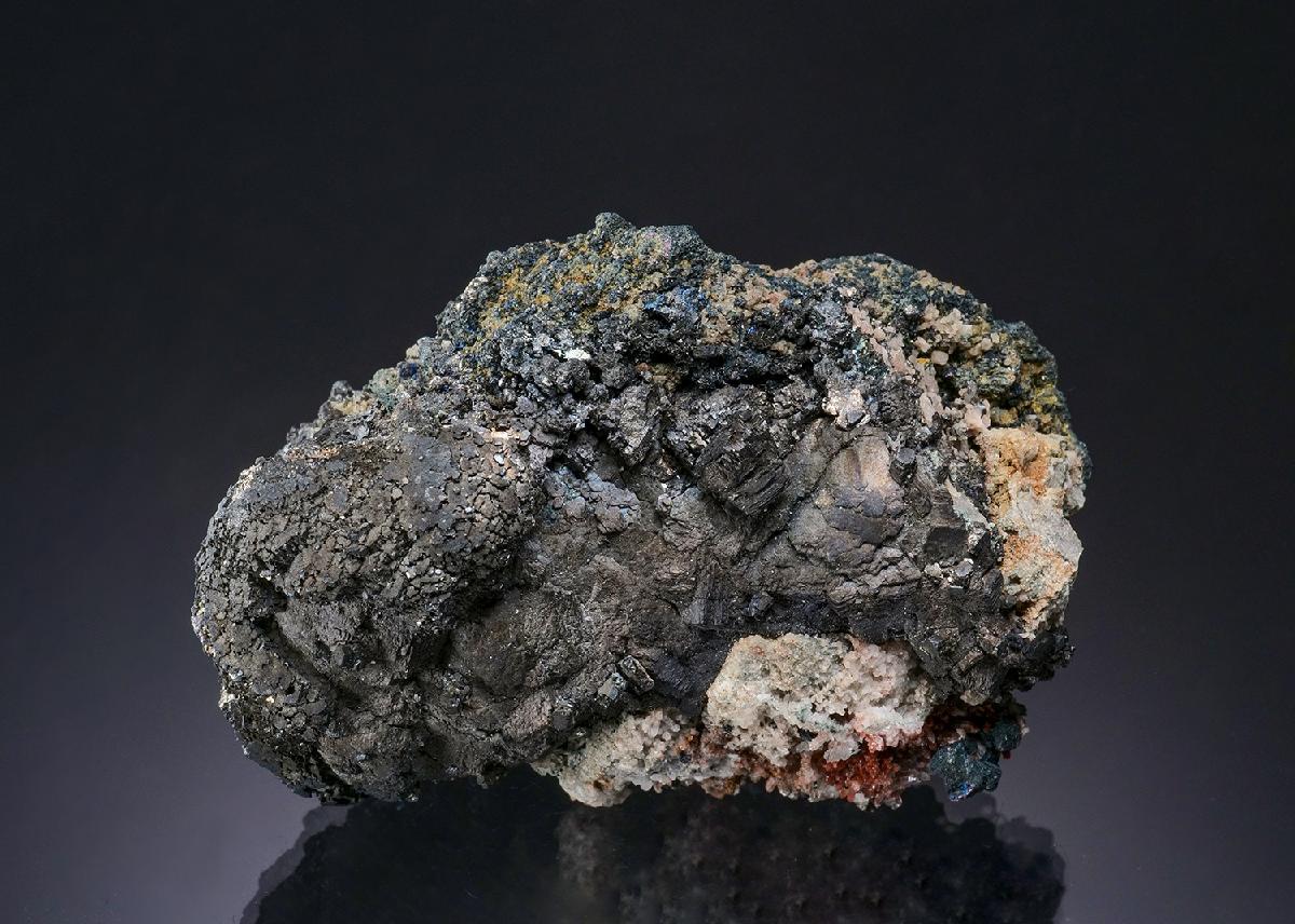 CC13686 specimen image