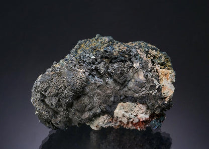 CC13686 specimen image