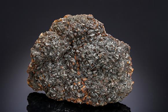 CC13701 specimen image