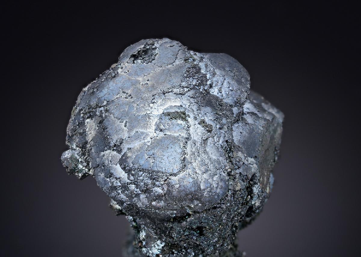 CC13703 specimen image