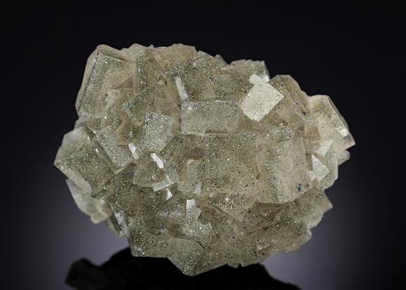 CC13716 specimen image