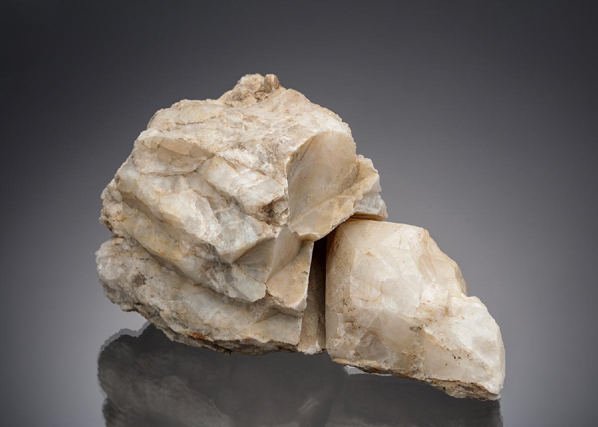 CC13733 specimen image