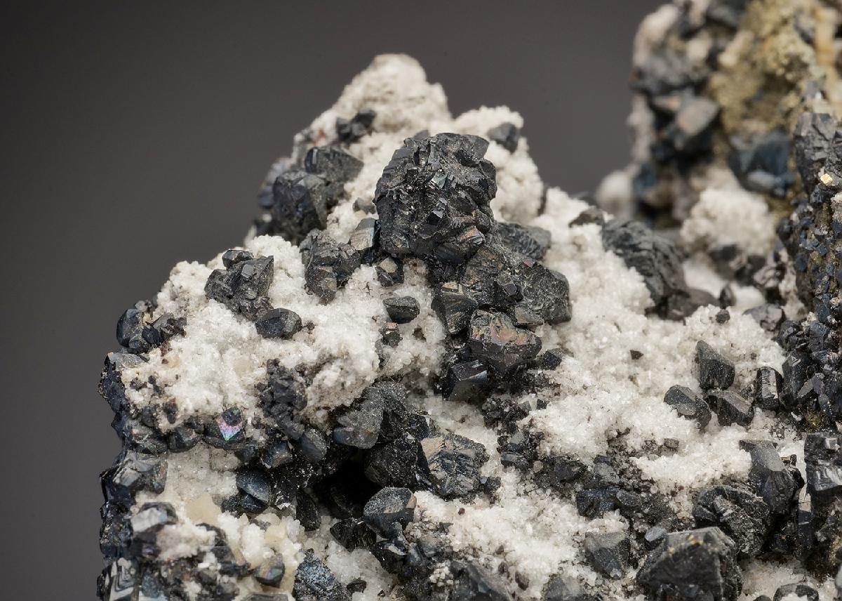 CC13744 specimen image