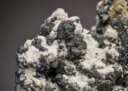 CC13744 specimen image
