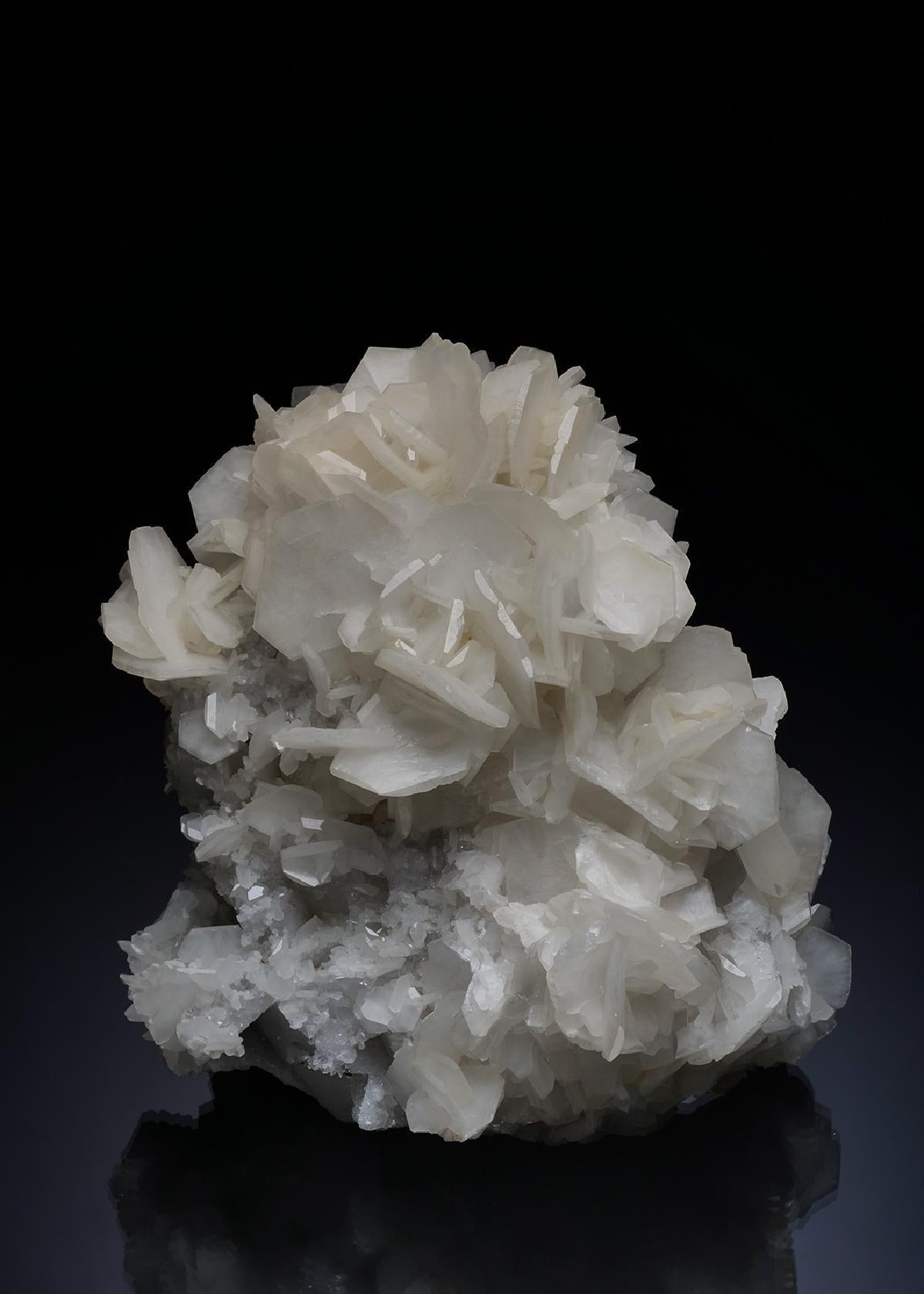 CC13751 specimen image