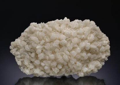 CC13752 specimen image