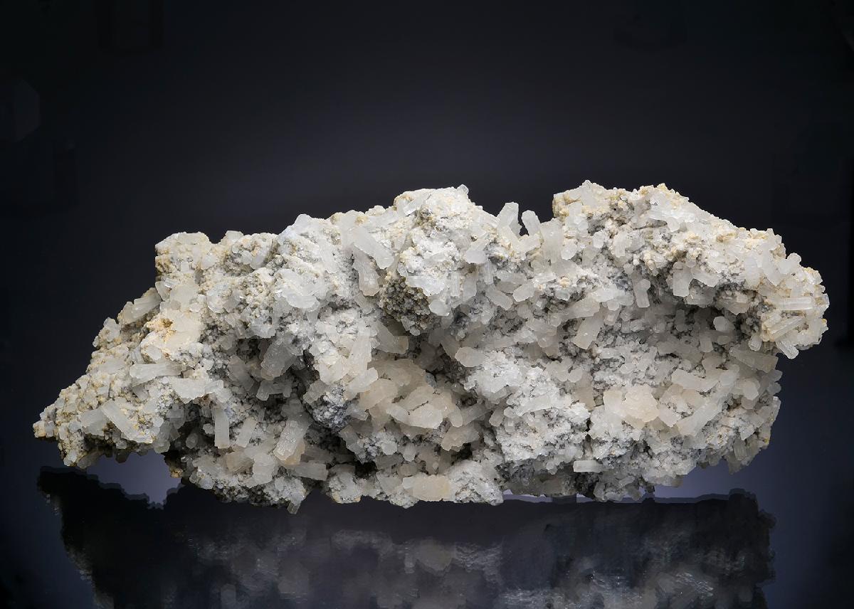 CC13753 specimen image