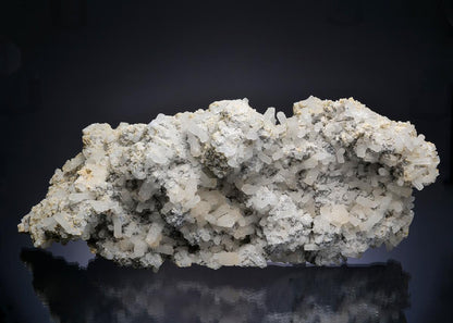 CC13753 specimen image