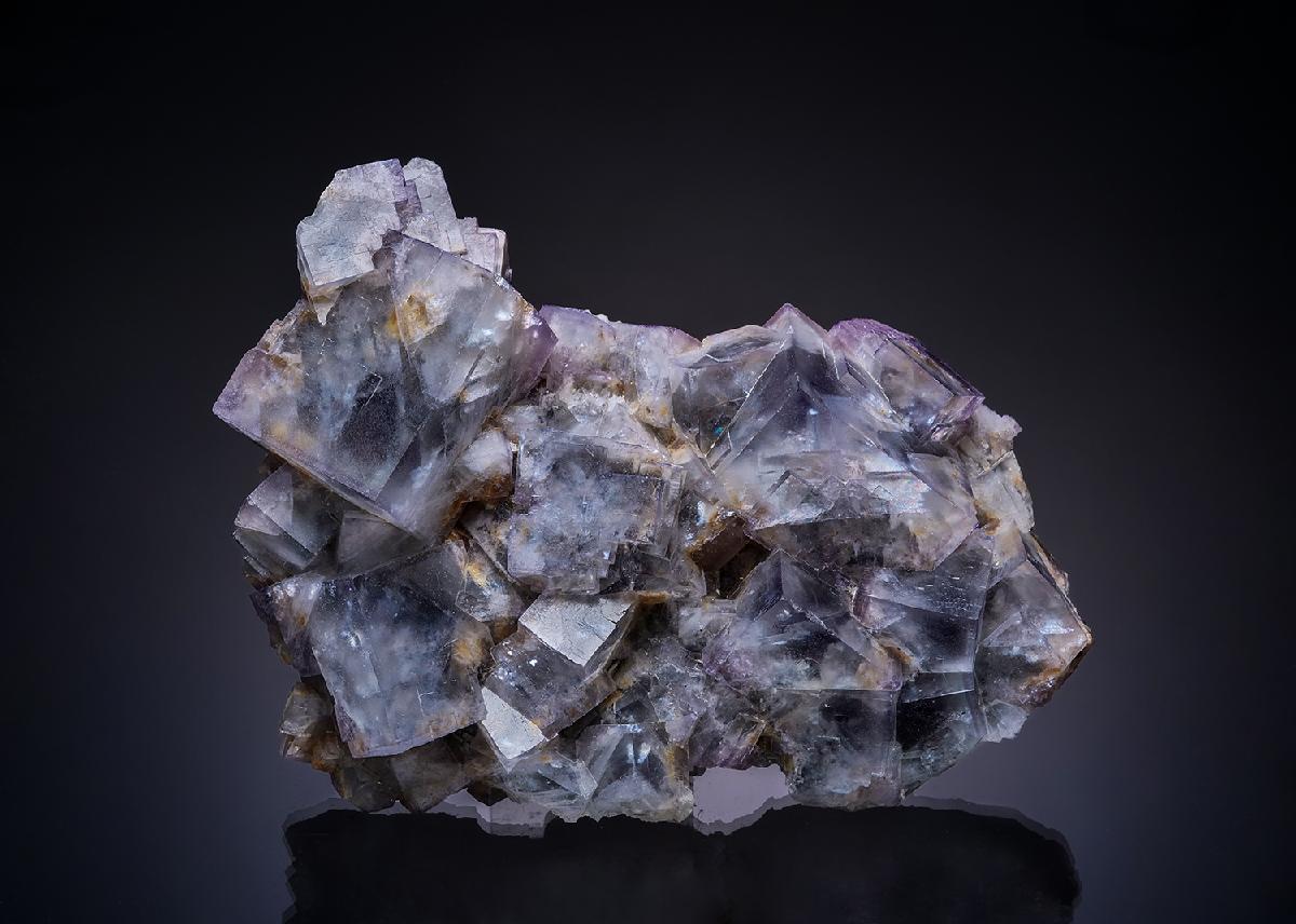 CC13758 specimen image