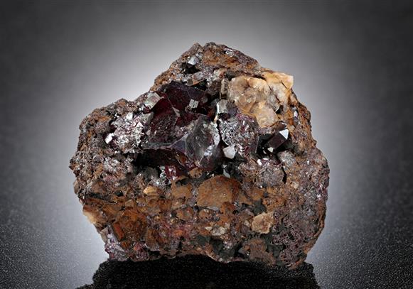 CC13765 specimen image