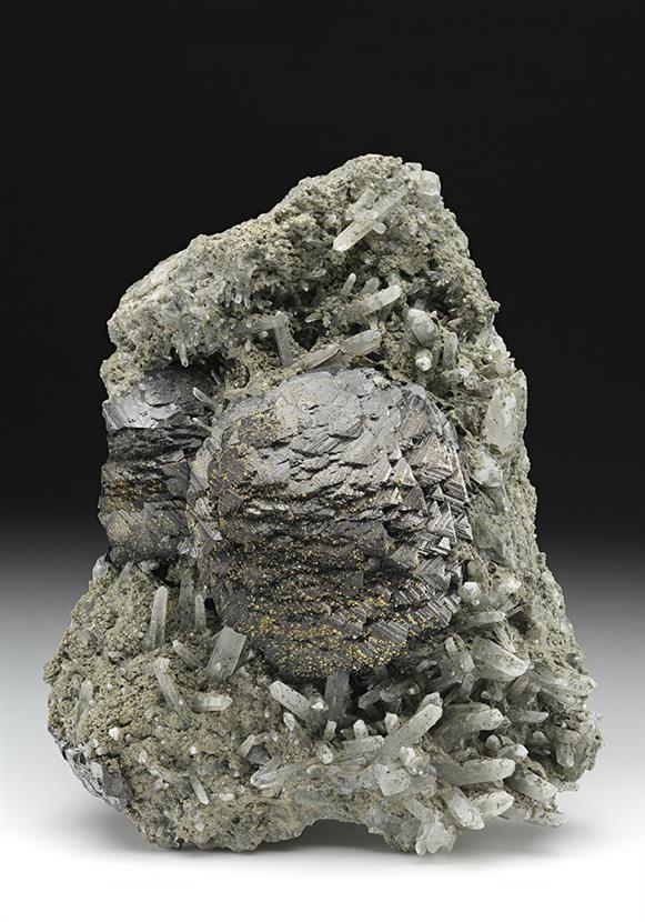 CC13775 specimen image
