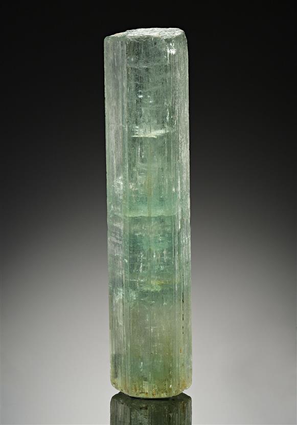 CC13776 specimen image