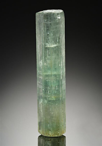 CC13776 specimen image
