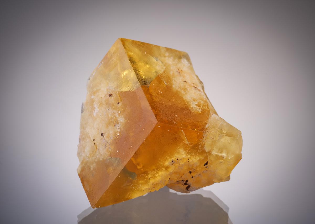 CC13782 specimen image