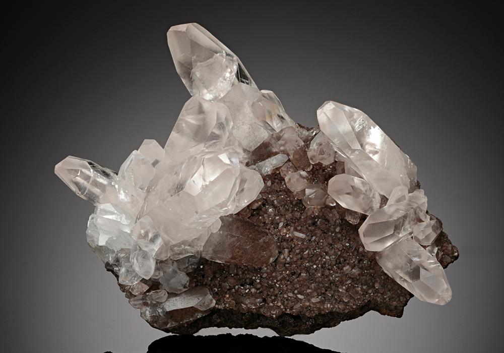 CC13787 specimen image