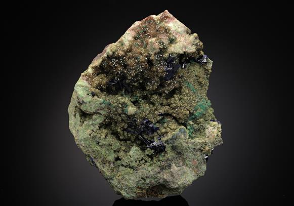 CC13796 specimen image