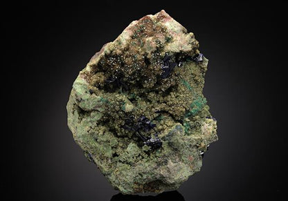 CC13796 specimen image