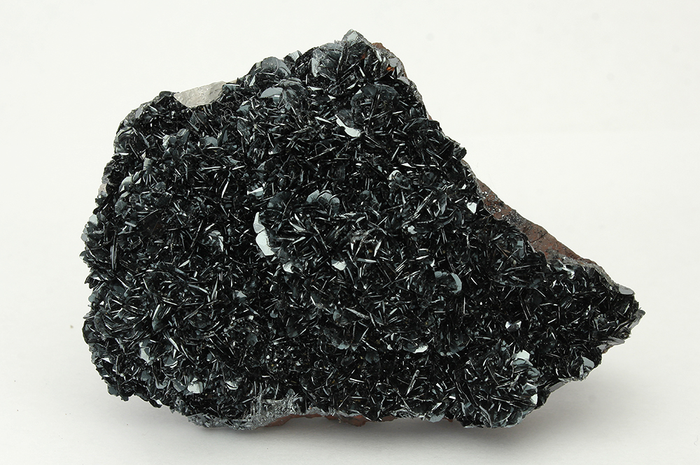 CC13812 specimen image