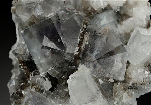 CC13825 specimen image