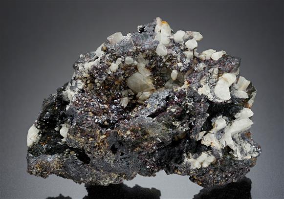 CC13831 specimen image