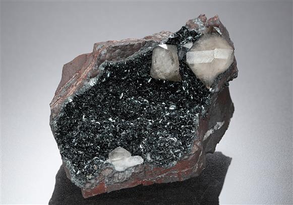 CC13833 specimen image