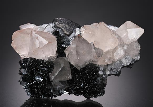 CC13882 specimen image
