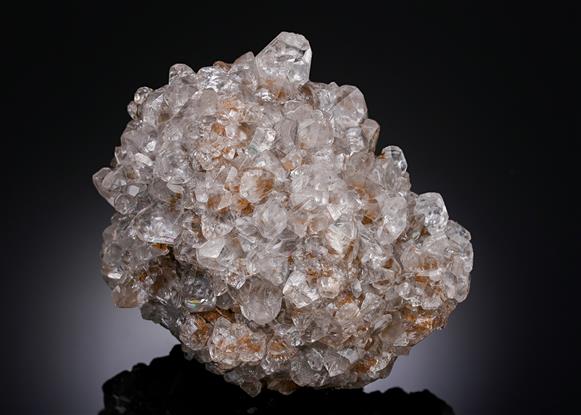 CC13894 specimen image