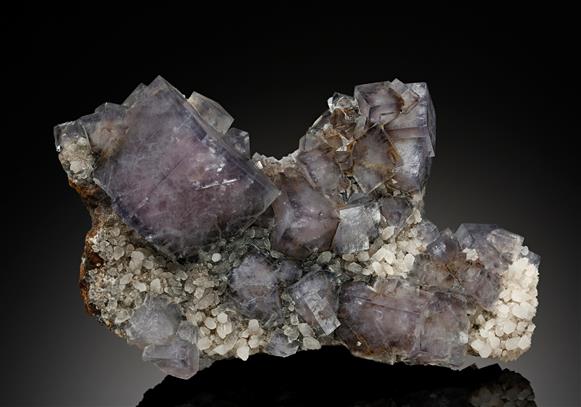 CC13905 specimen image
