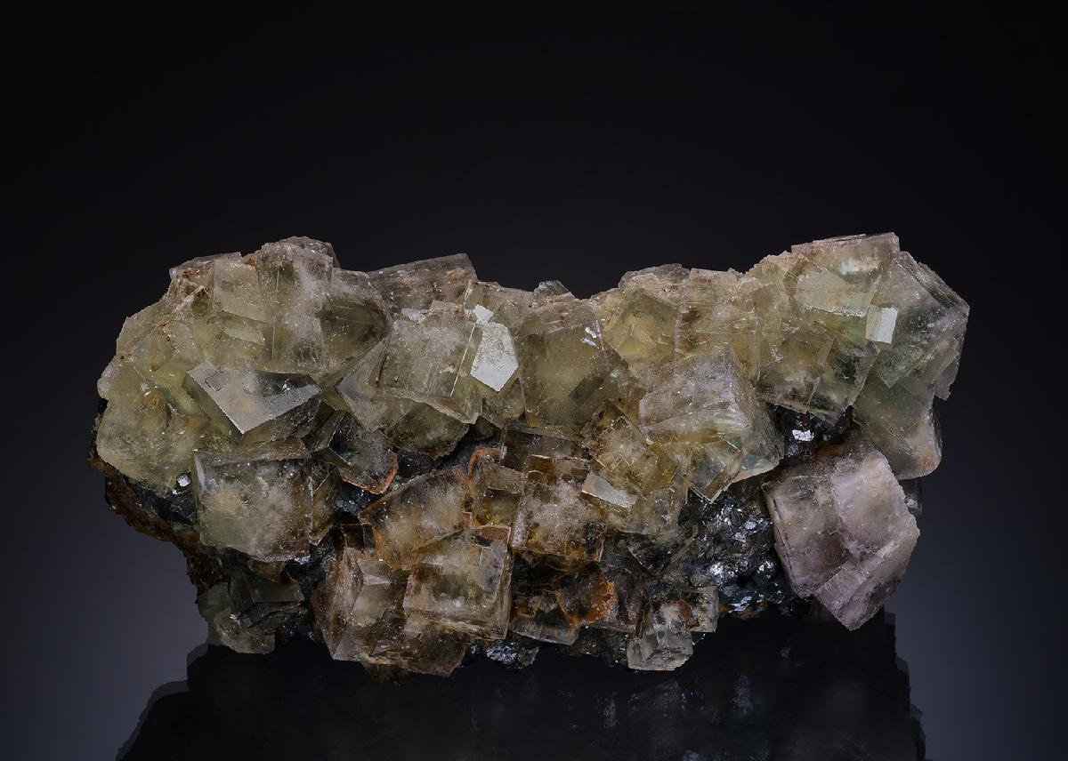 CC13918 specimen image