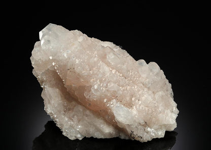 CC13921 specimen image